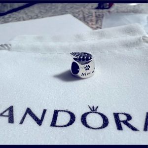 Cat bowl pandora charm